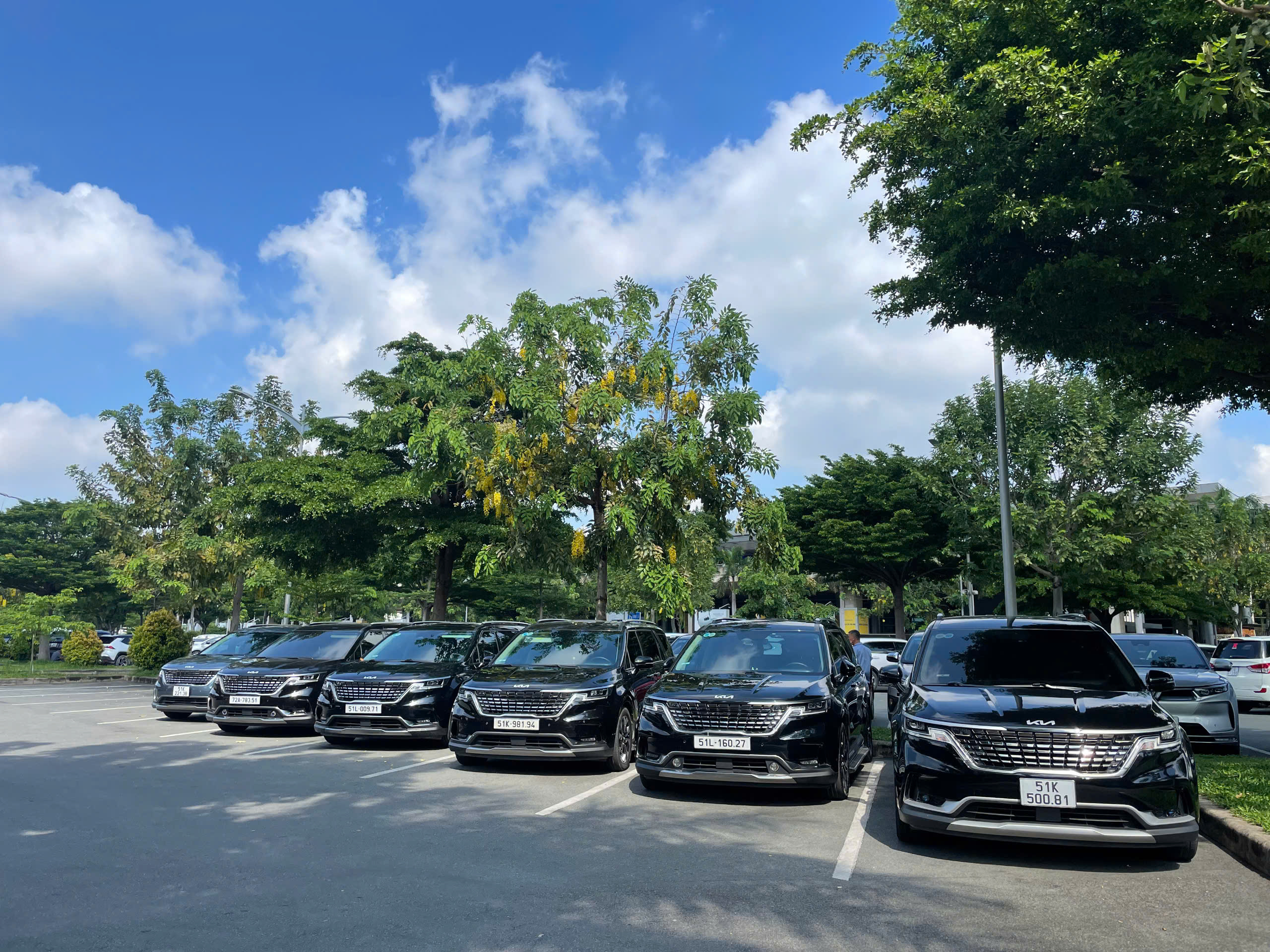 CHO THUÊ XE CARNIVAL